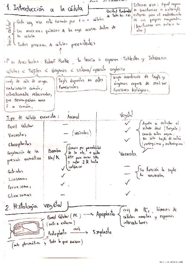 Miniatura del documento BCH-I-hasta-t.10-mitocondrias-cloroplastos-y-peroxisomas.pdf