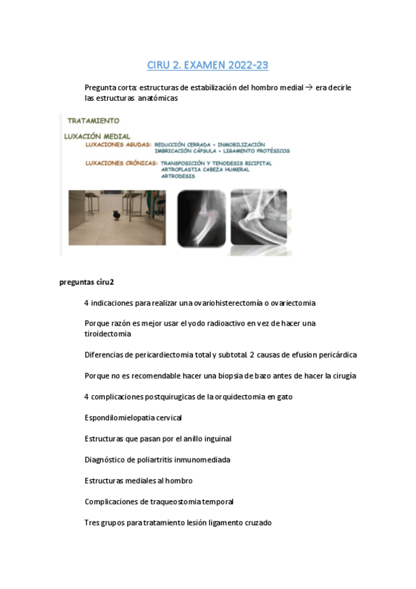 Miniatura del documento Preguntas-cortas.pdf