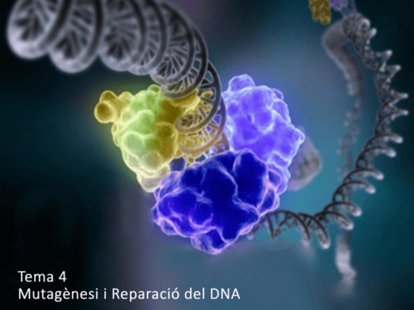 Miniatura del documento P4-resolt.pdf