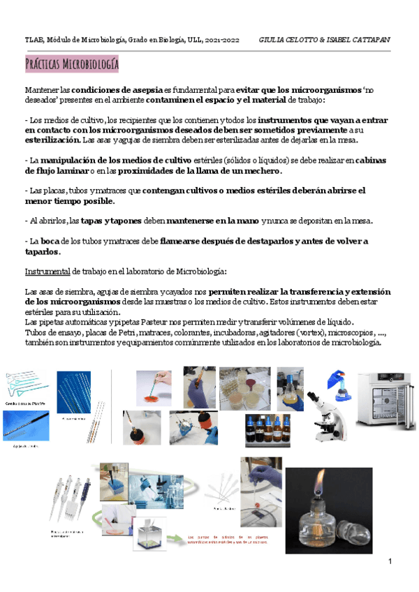 Miniatura del documento TLAB-Microbiologia-Practicas.pdf