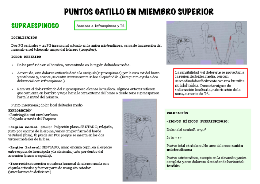 Miniatura del documento PUNTOS-GATILLO-EN-MIEMBRO-SUPERIOR.pdf