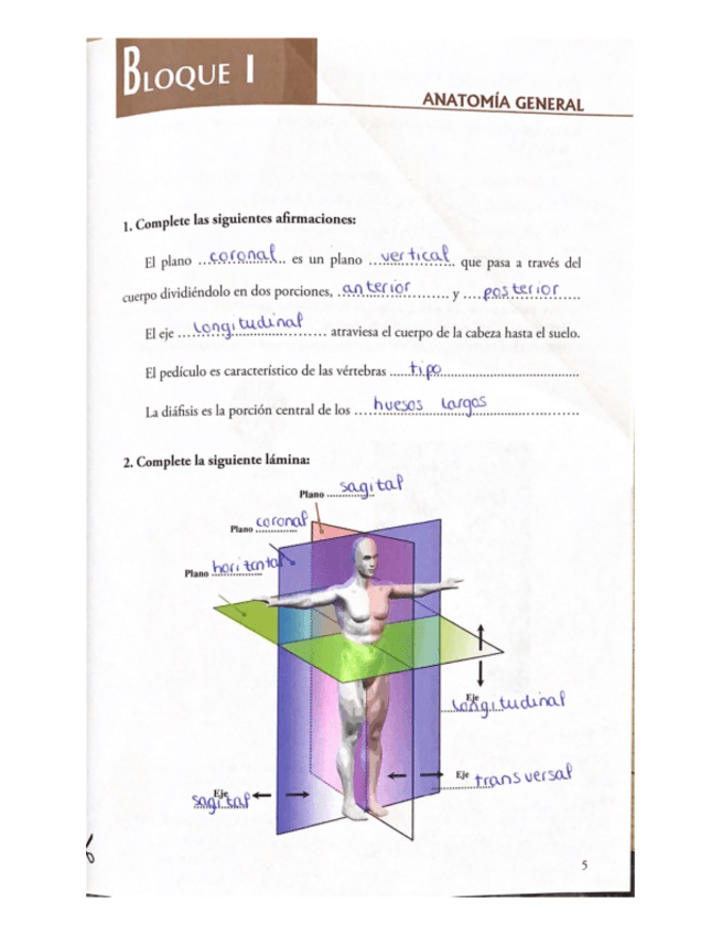 Miniatura del documento CUADERNO-RESUELTO-ANATOMIA.pdf