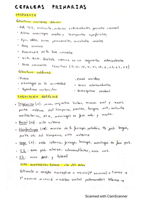 Miniatura del documento Cefaleas-primarias.pdf