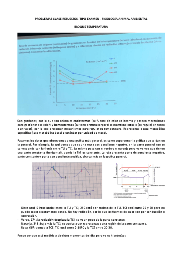 Miniatura del documento Problemas-clase-resueltos-FAA.pdf