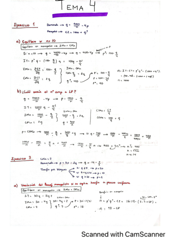Miniatura del documento PRACTICA-TEMA-4.pdf