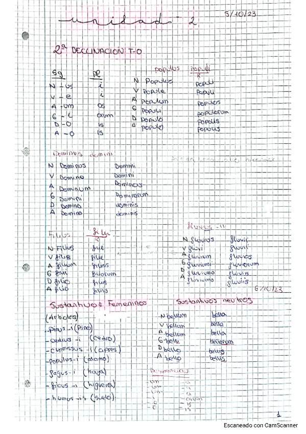 Miniatura del documento APUNTES-LATIN-TEMA-2..pdf