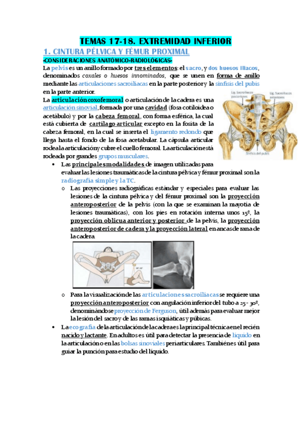 Miniatura del documento TEMAS-17-18.-EXTREMIDAD-INFERIOR.pdf