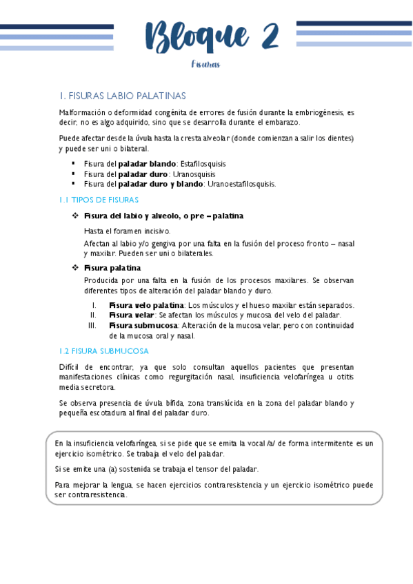 Miniatura del documento BLOQUE-II-FISURAS.pdf