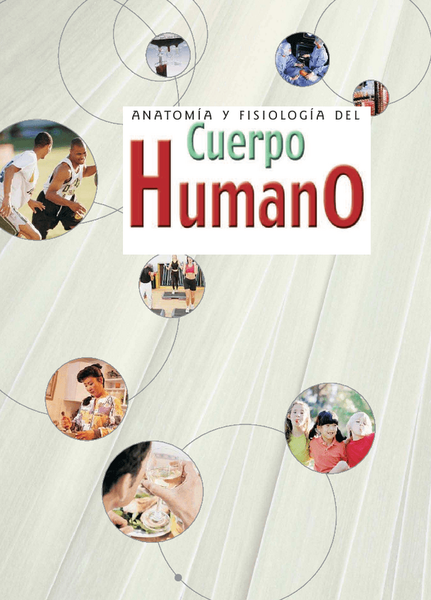 Miniatura del documento LIBRO-ANATOMIA-Y-FISIOLOGIA-DEL-CUERPO-HUMANO.pdf