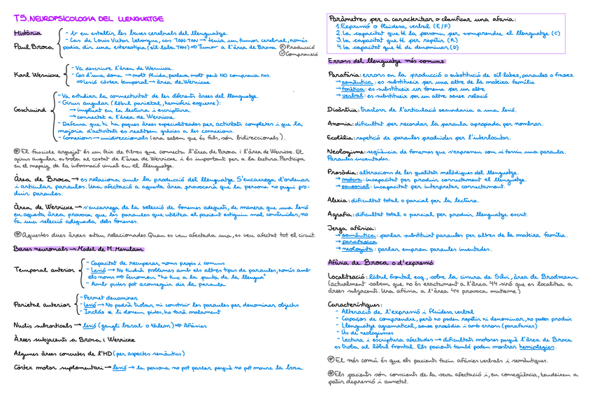 Miniatura del documento Esquema-T5-Llenguatge.pdf