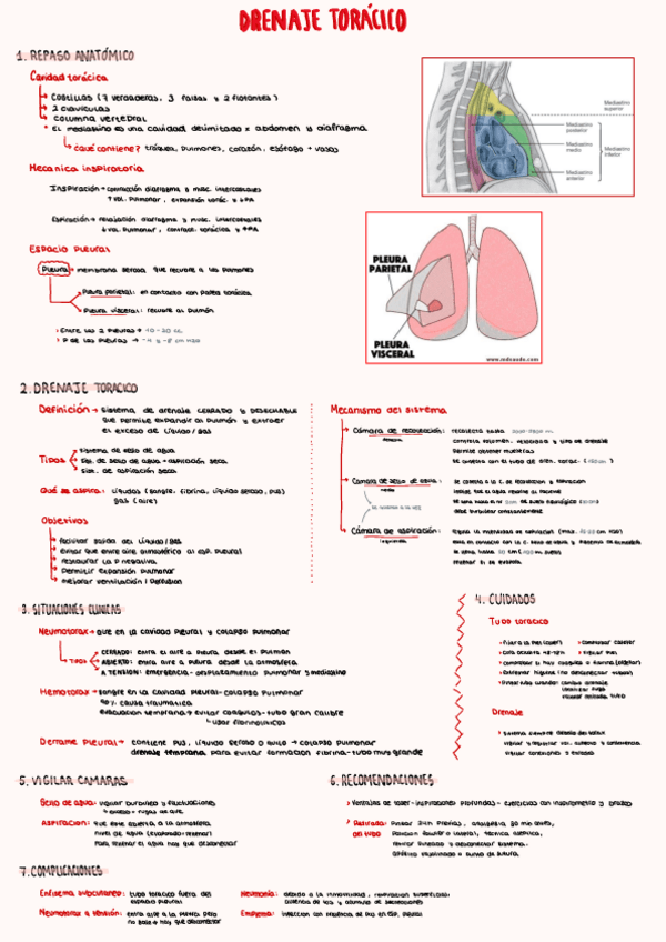 Miniatura del documento ESQUEMAS-DRENAJE-TORACICO.pdf