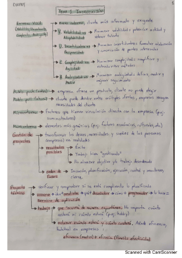 Miniatura del documento Mega-Resumen-DIRPRY.pdf