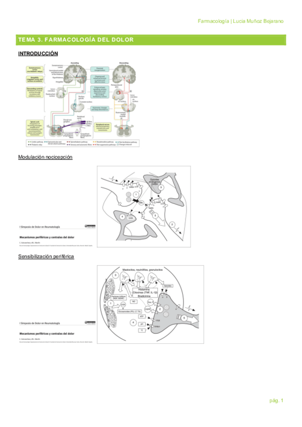 Miniatura del documento TEMA-3.pdf