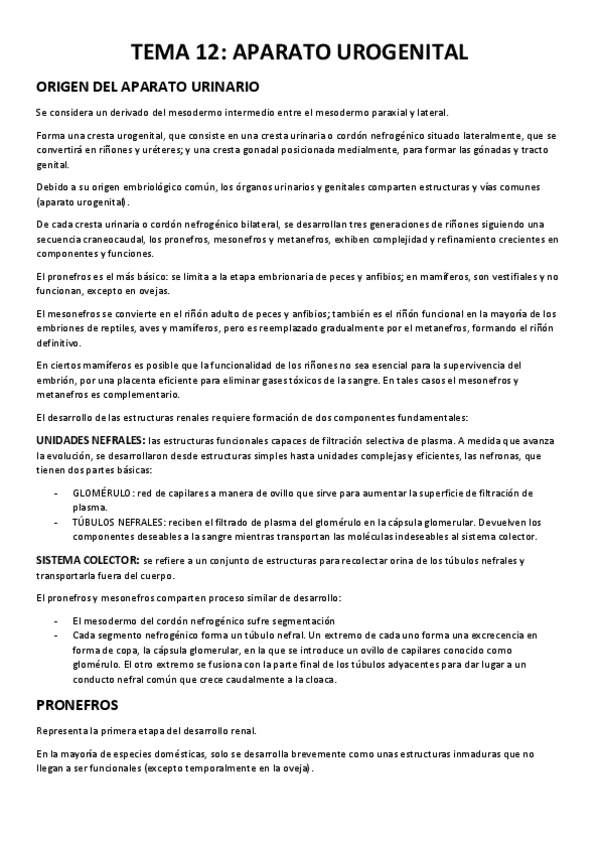 Miniatura del documento TEMA-12-APARATO-URINARIO.pdf