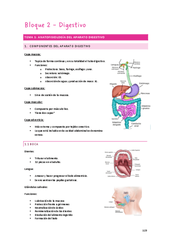 Miniatura del documento TEMA-2.1.pdf