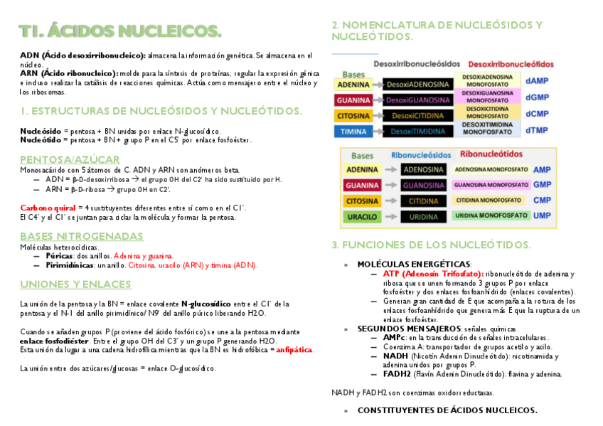 Miniatura del documento Esquema-T1-Procesos-Biologicos-III.pdf