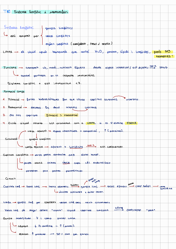 Miniatura del documento T10231127225136.pdf