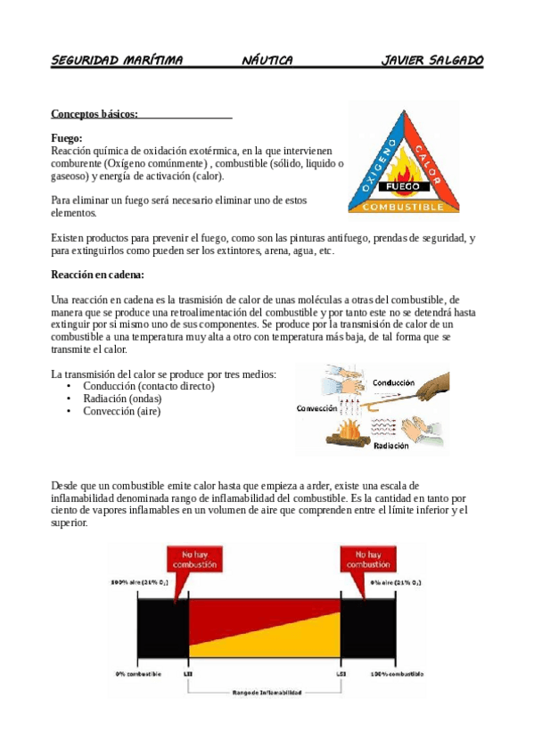 Miniatura del documento SEGURIDAD-conceptos-basicos.pdf