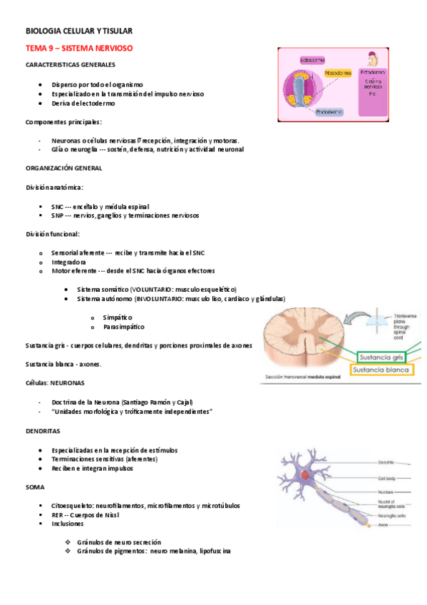 Miniatura del documento BIOLOGIA-TISULAR-TEMA-9.pdf