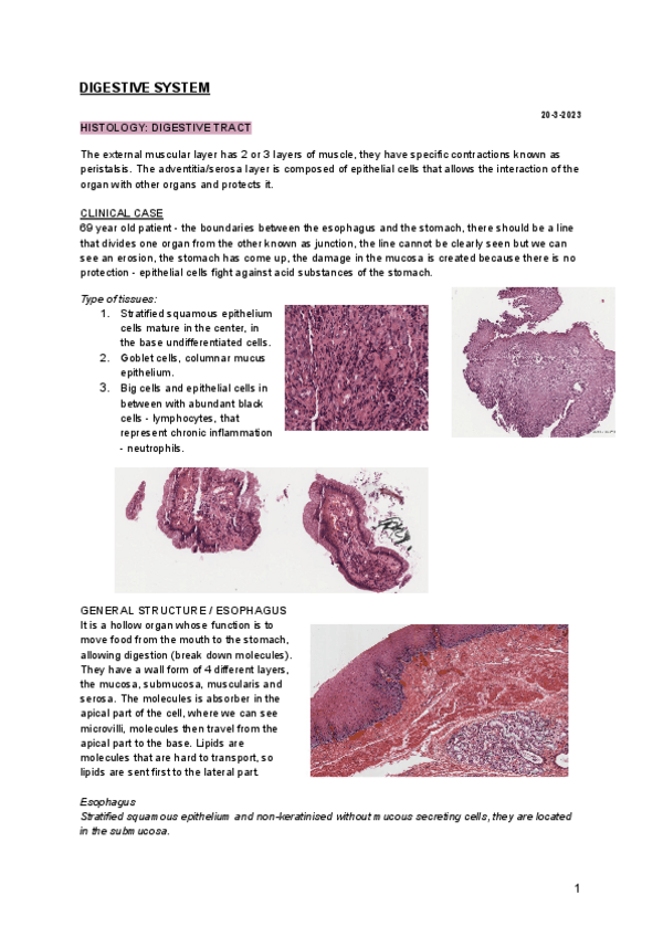Miniatura del documento IOS2-DIGESTIVE-SYSTEM-4.pdf