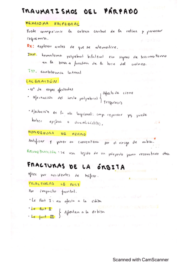 Miniatura del documento Traumatismos-de-parpado-y-orbita.pdf