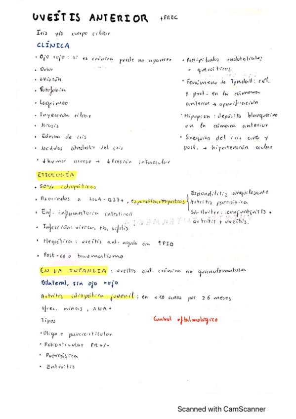 Miniatura del documento Uveitis.pdf