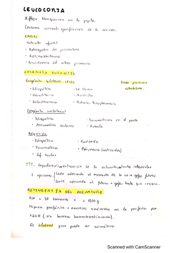 Miniatura del documento Leucocoria.pdf