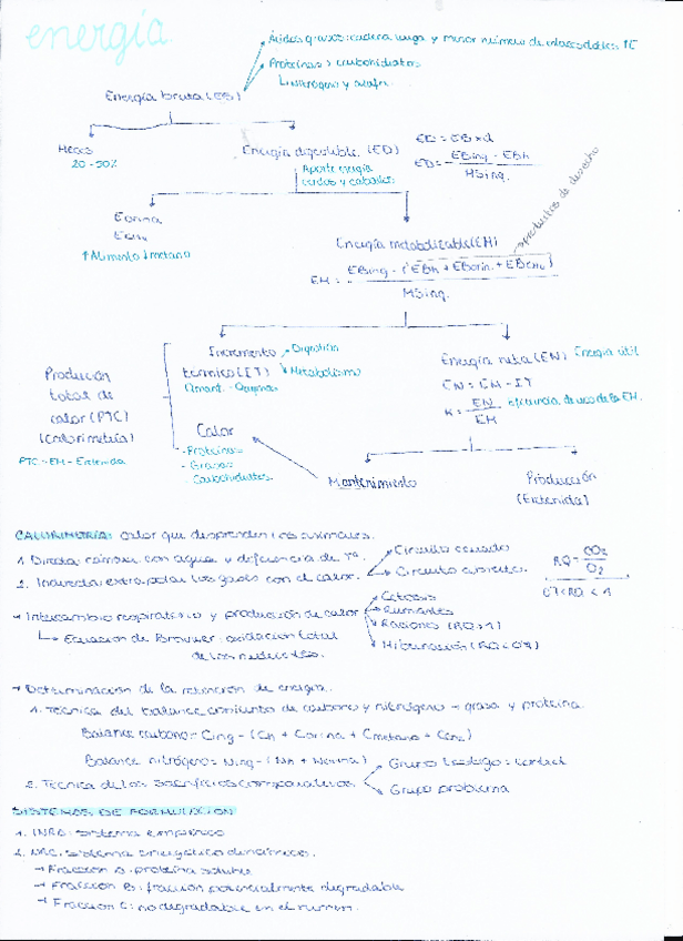 Miniatura del documento Esquema-energia.pdf