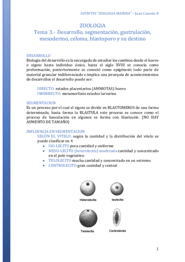Miniatura del documento Tema-3-Desarrollo-segmentacion-gastrulacion-mesodermo-celoma-blastoporo-y-su-destino-ZOOLOGIA.pdf