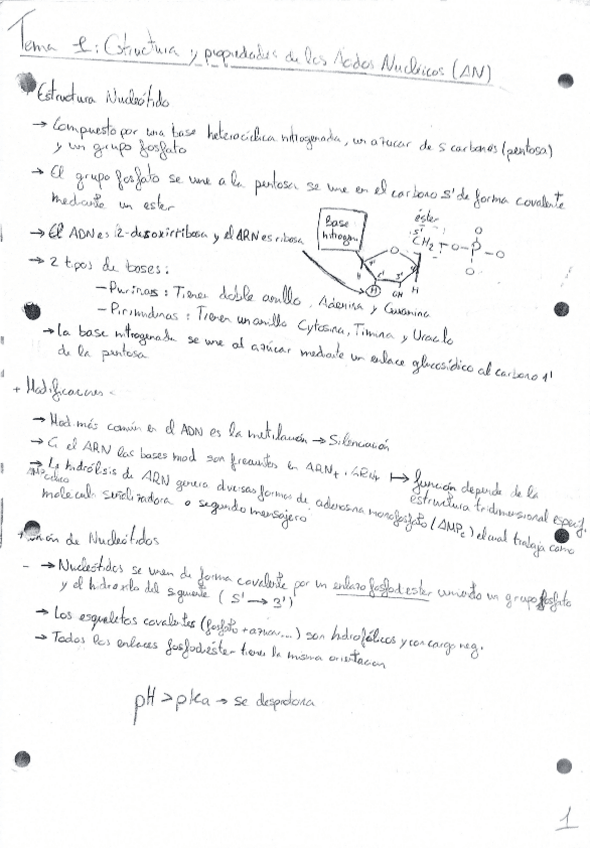 Miniatura del documento ApuntesT1T2T3T4T5T6T7.pdf