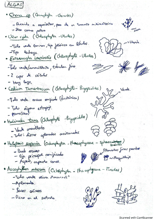 Miniatura del documento Practicas-criptogamia-23-24.-Todas.pdf