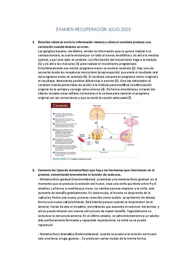 Miniatura del documento examen-Recuperacion-julio-2023.pdf