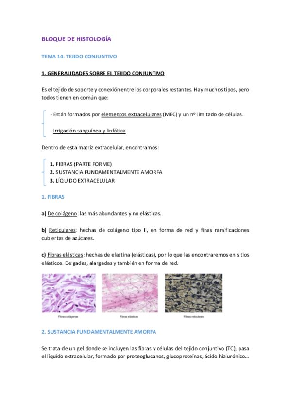 Miniatura del documento TEMARIO-HISTOLOGIA.pdf