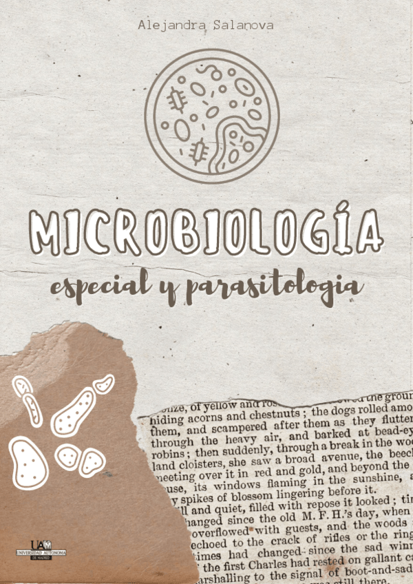 Miniatura del documento Resumenes-Micro-Especial.pdf