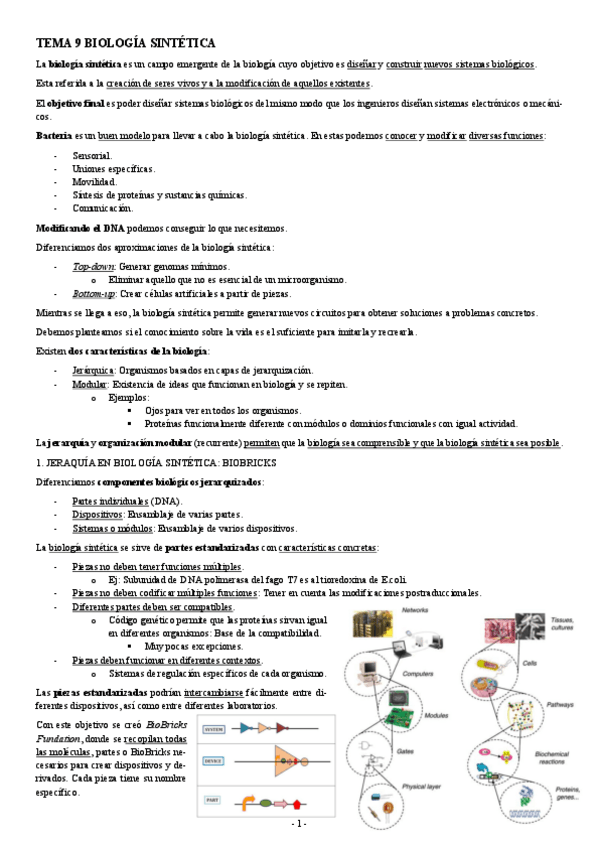 Miniatura del documento INGENIERIA-GENETICA-TEMA-9-BIOLOGIA-SINTETICA.pdf