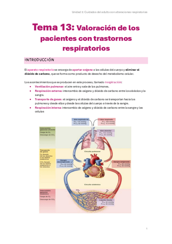 Miniatura del documento Tema-13.pdf