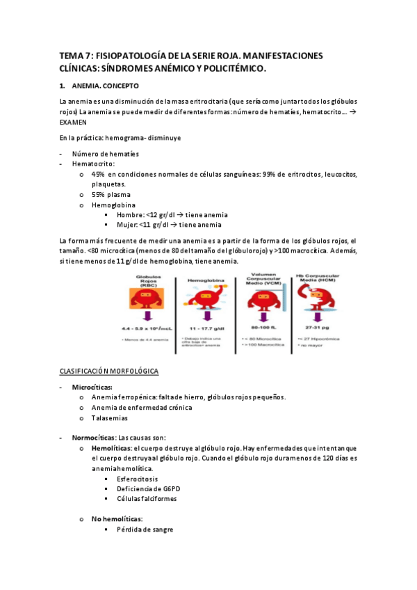 Miniatura del documento TEMA 7.pdf