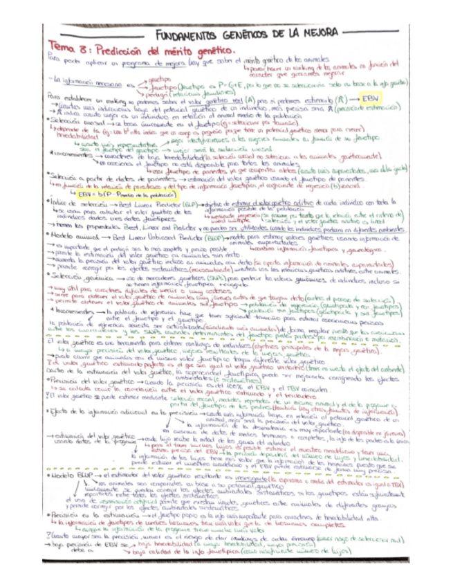 Miniatura del documento TEMA-8.pdf