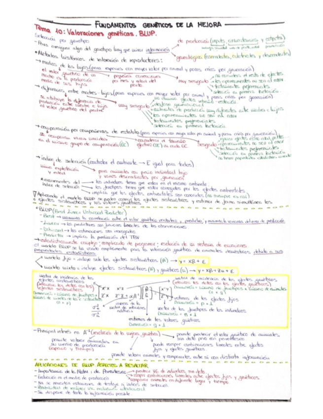 Miniatura del documento TEMA-10.pdf