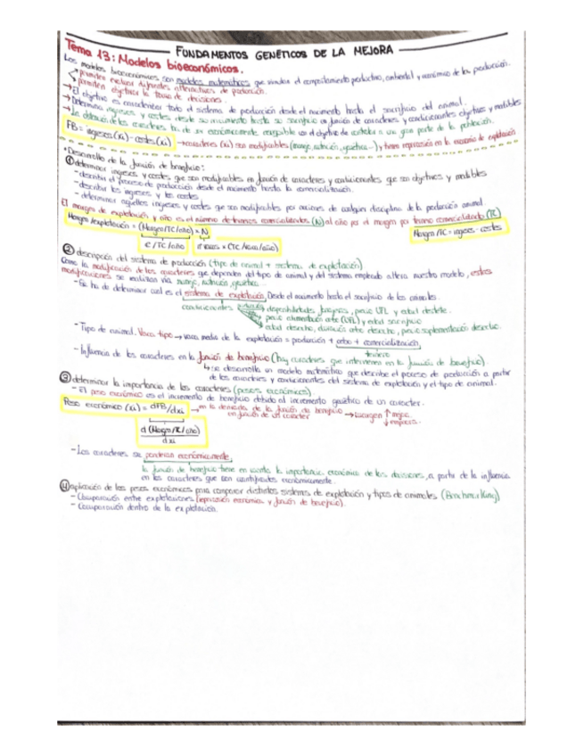 Miniatura del documento TEMA-13.pdf