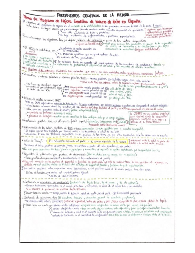 Miniatura del documento TEMA-14.pdf