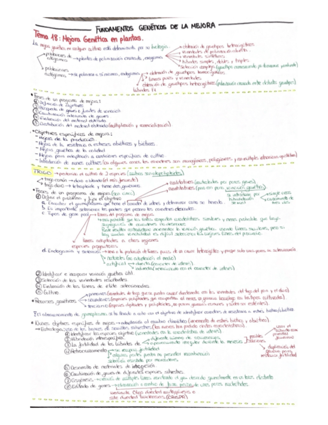 Miniatura del documento TEMA-18.pdf