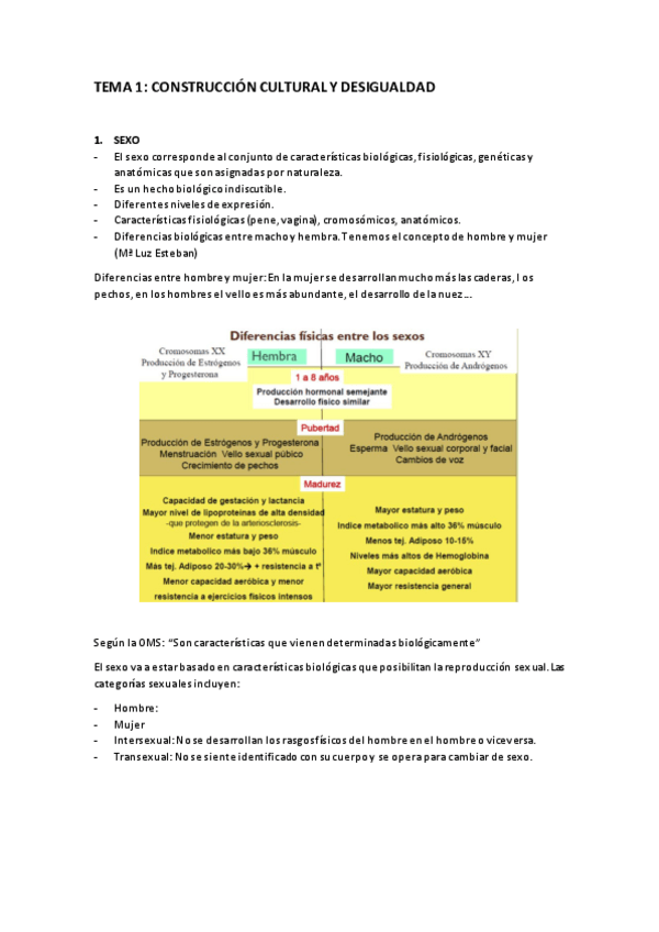 Miniatura del documento TEMA 1.pdf