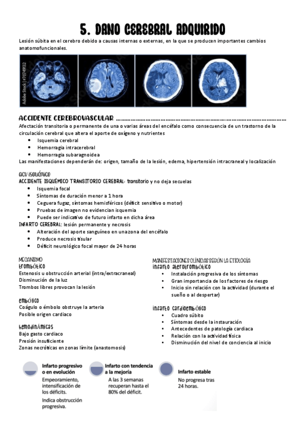 Miniatura del documento 5.-DANO-CEREBRAL-ADQUIRIDO.pdf