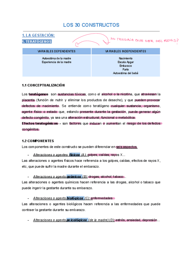 Miniatura del documento Copia-de-LOS-30-CONSTRUCTOS-Apuntes.pdf