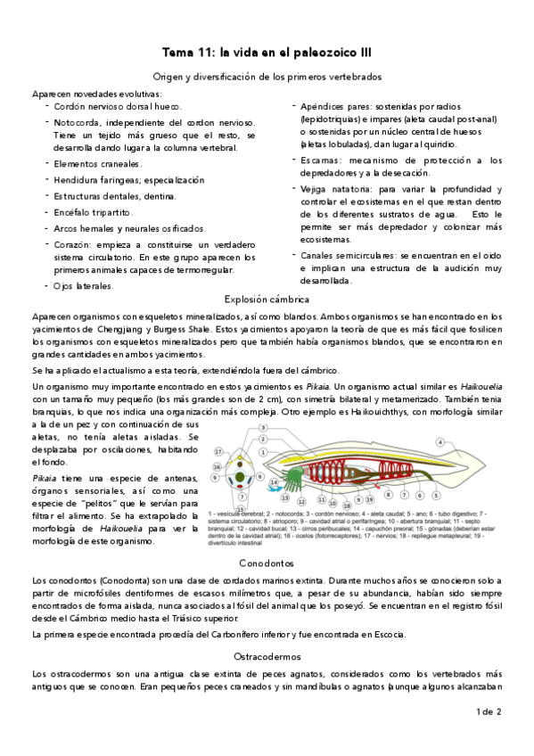 Miniatura del documento tema-11.pdf