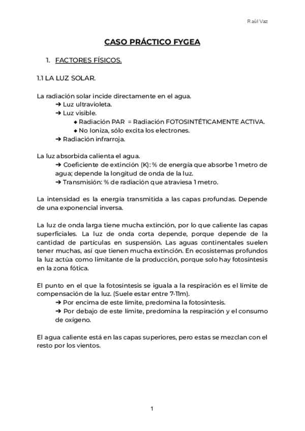 Miniatura del documento RESUMEN-CASO-PRACTICO.pdf