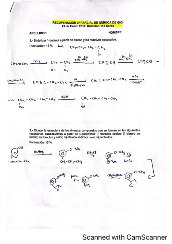 Miniatura del documento CamScanner-13-01-2024-18.07.pdf