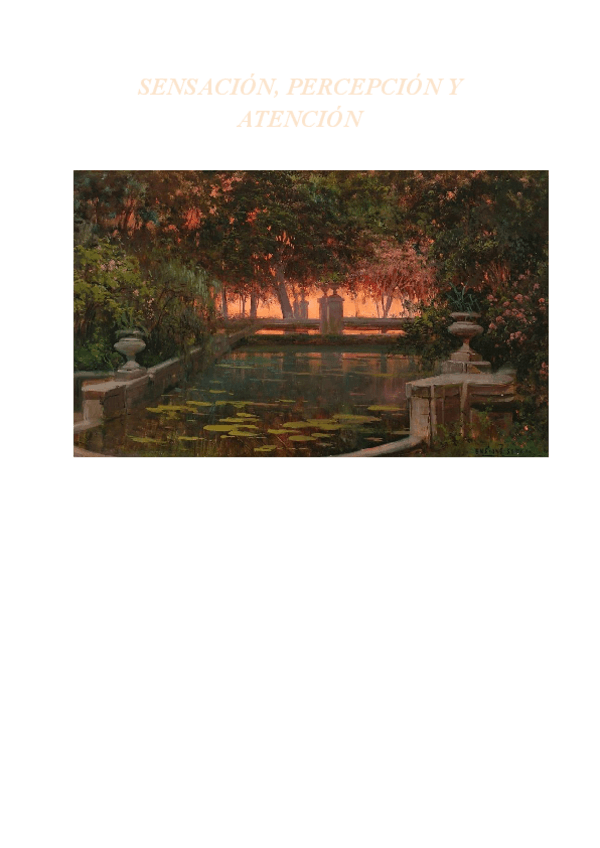 Miniatura del documento Sensacion-percepcion-y-atencion.pdf