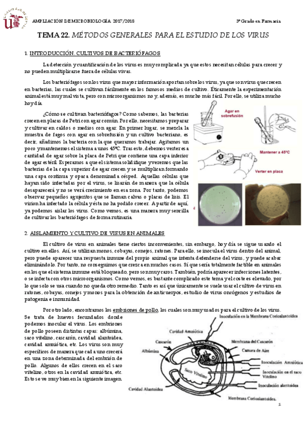 Miniatura del documento TEMA 22 MÉTODOS GENERALES PARA EL ESTUDIO DE LOS VIRUS.pdf